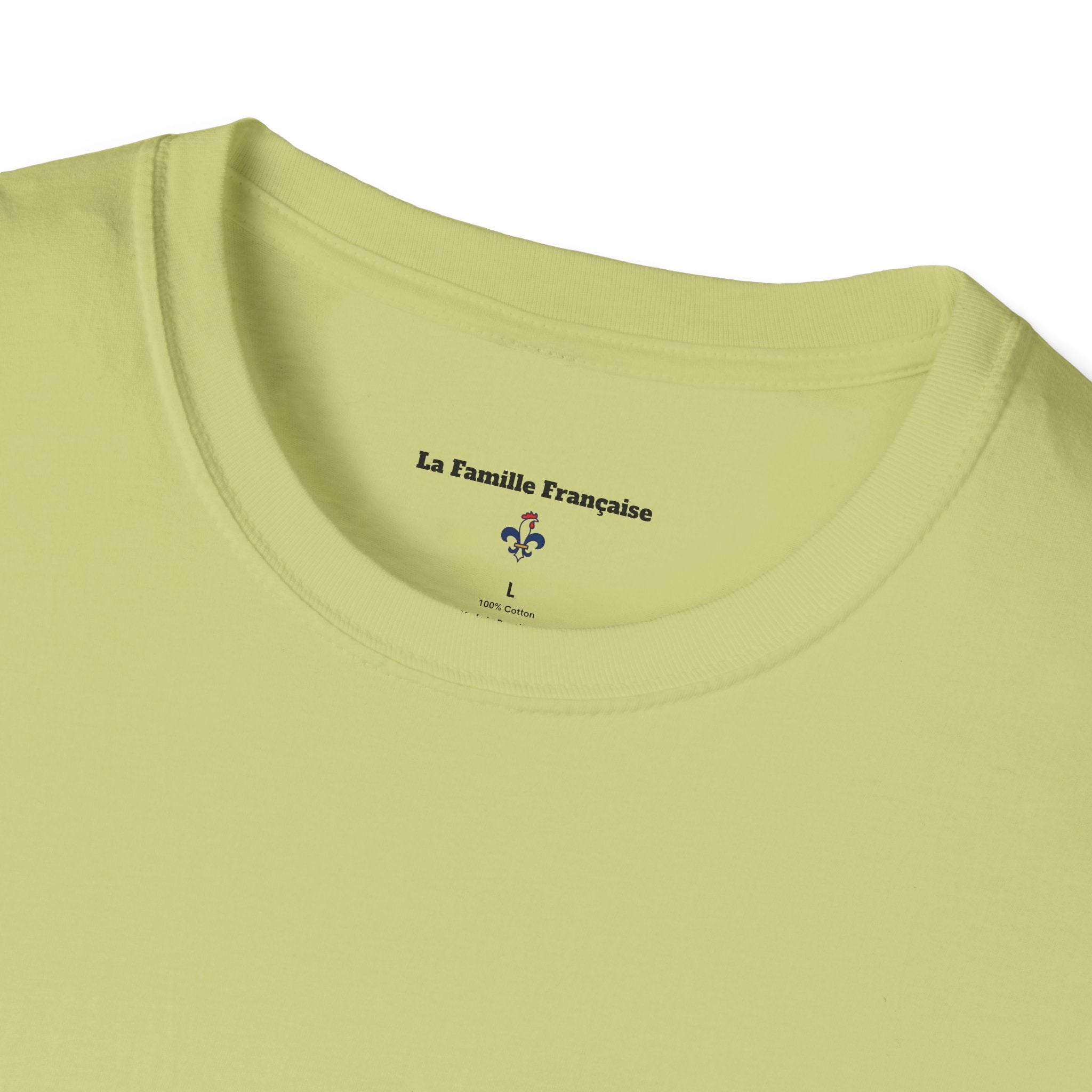 T-shirt La Famille Française vert pistache – logo coq tricolore côté cœur et dos l'illustration humoristique “T'es sûrement pas français”.